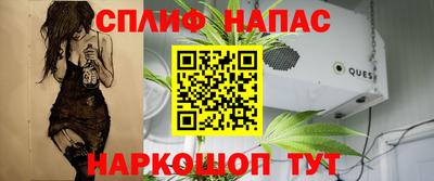 спиды Заволжье