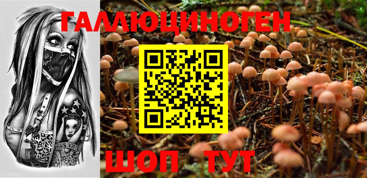 Мелеуз  Галлюциногенные грибы Magic Shrooms  цена   Галлюциногенные грибы ЛСД  Вход с VPN 