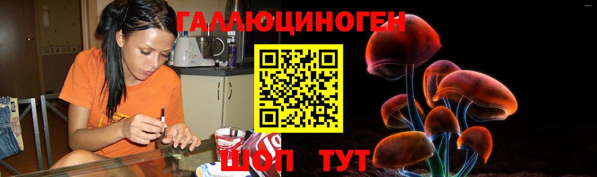 Псилоцибиновые грибы Psilocybe Мелеуз